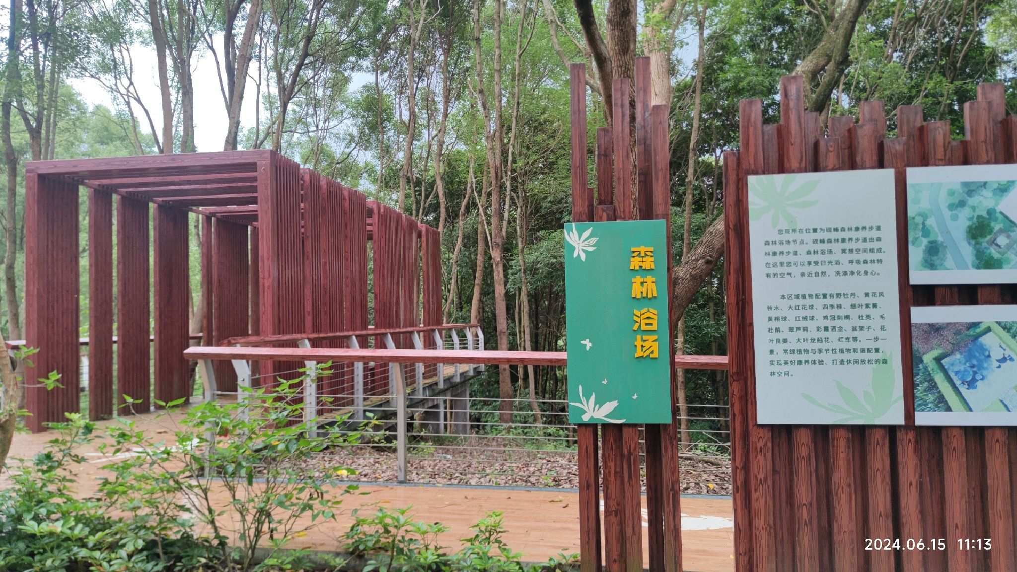 红山森林公园旅行图片 3