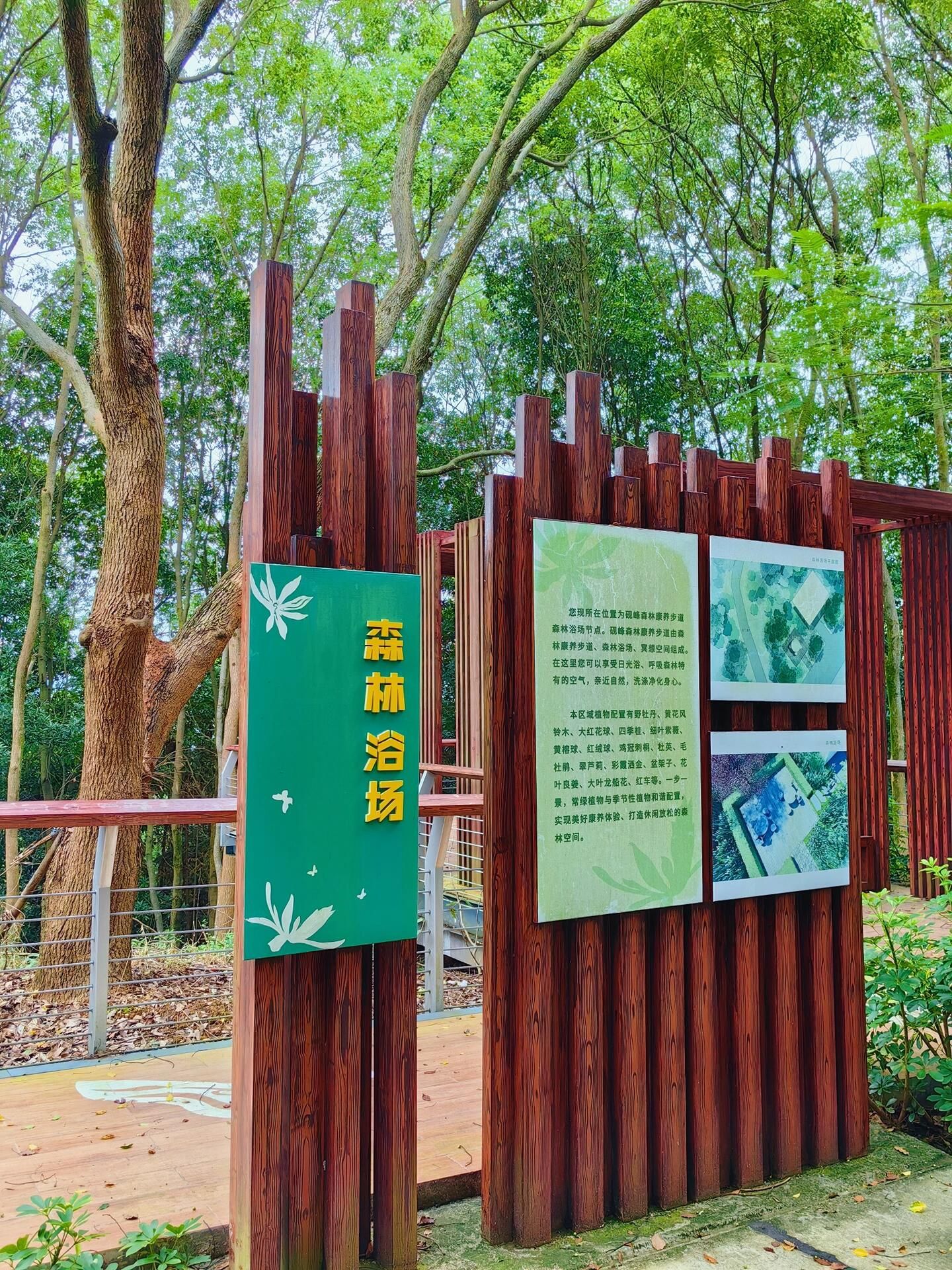 红山森林公园旅行图片 1