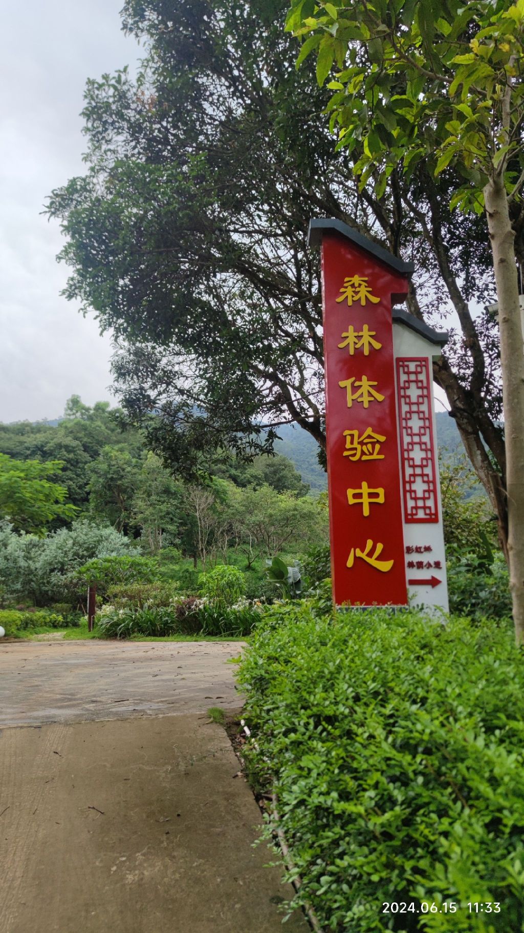 红山森林公园旅行图片 1