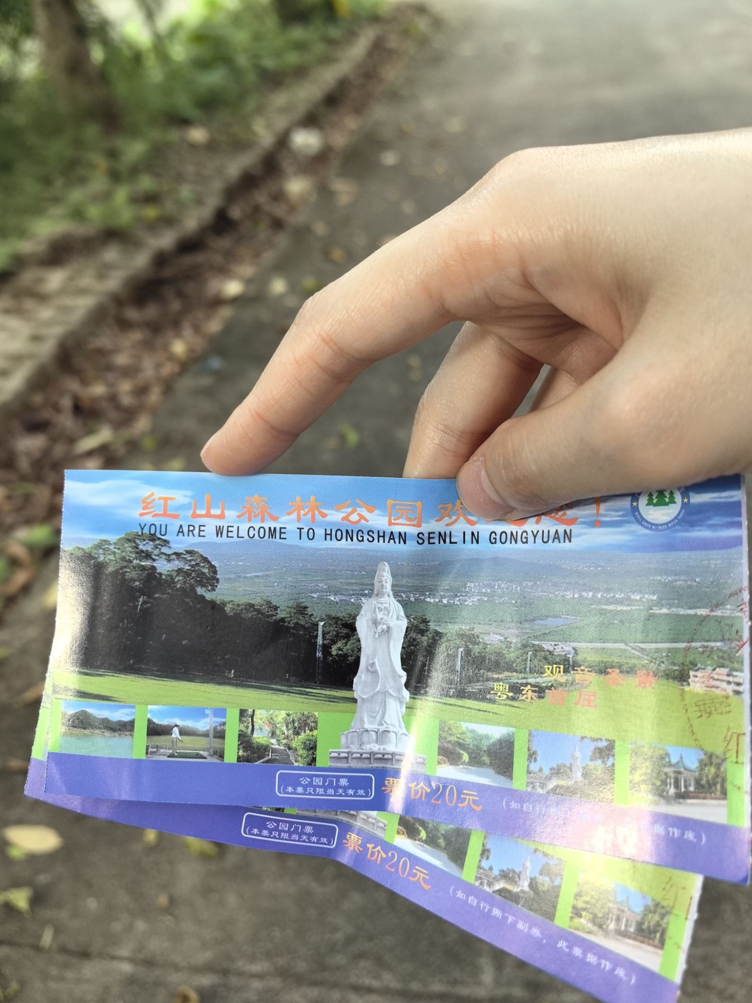 红山森林公园旅行图片 3