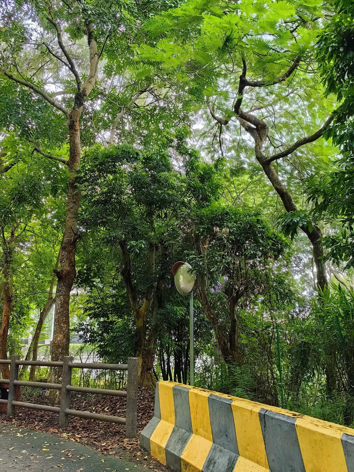 红山森林公园旅行图片 2
