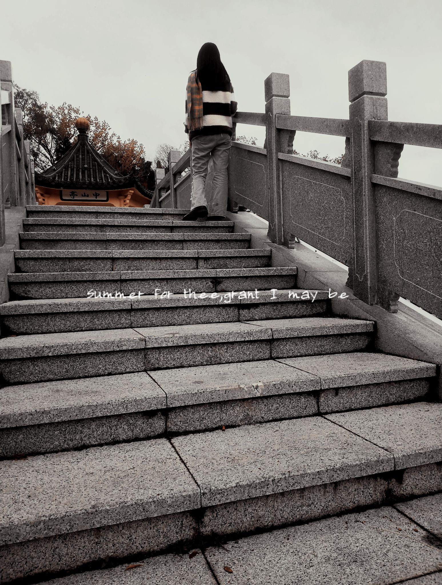 中山公园旅行图片 3