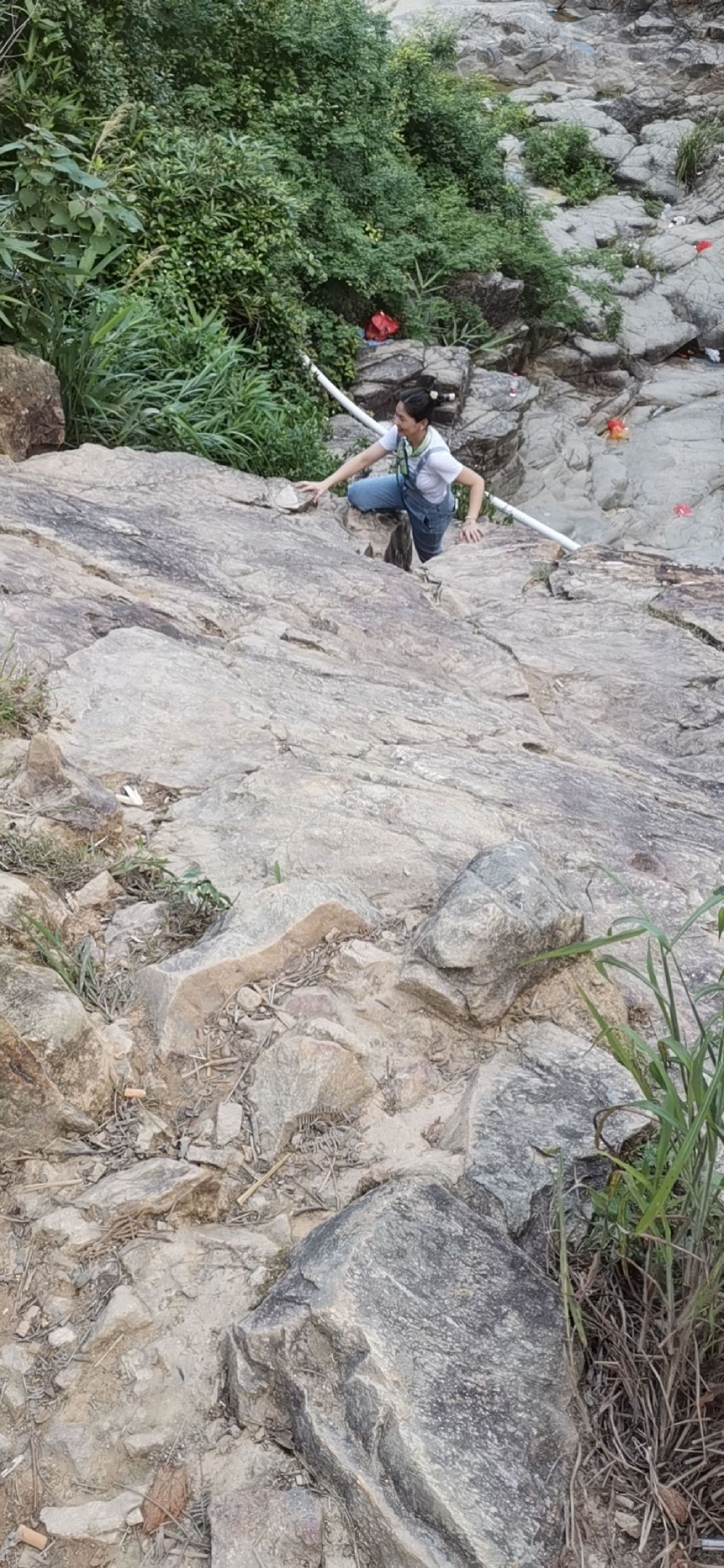 万峰山森林公园旅行图片 1
