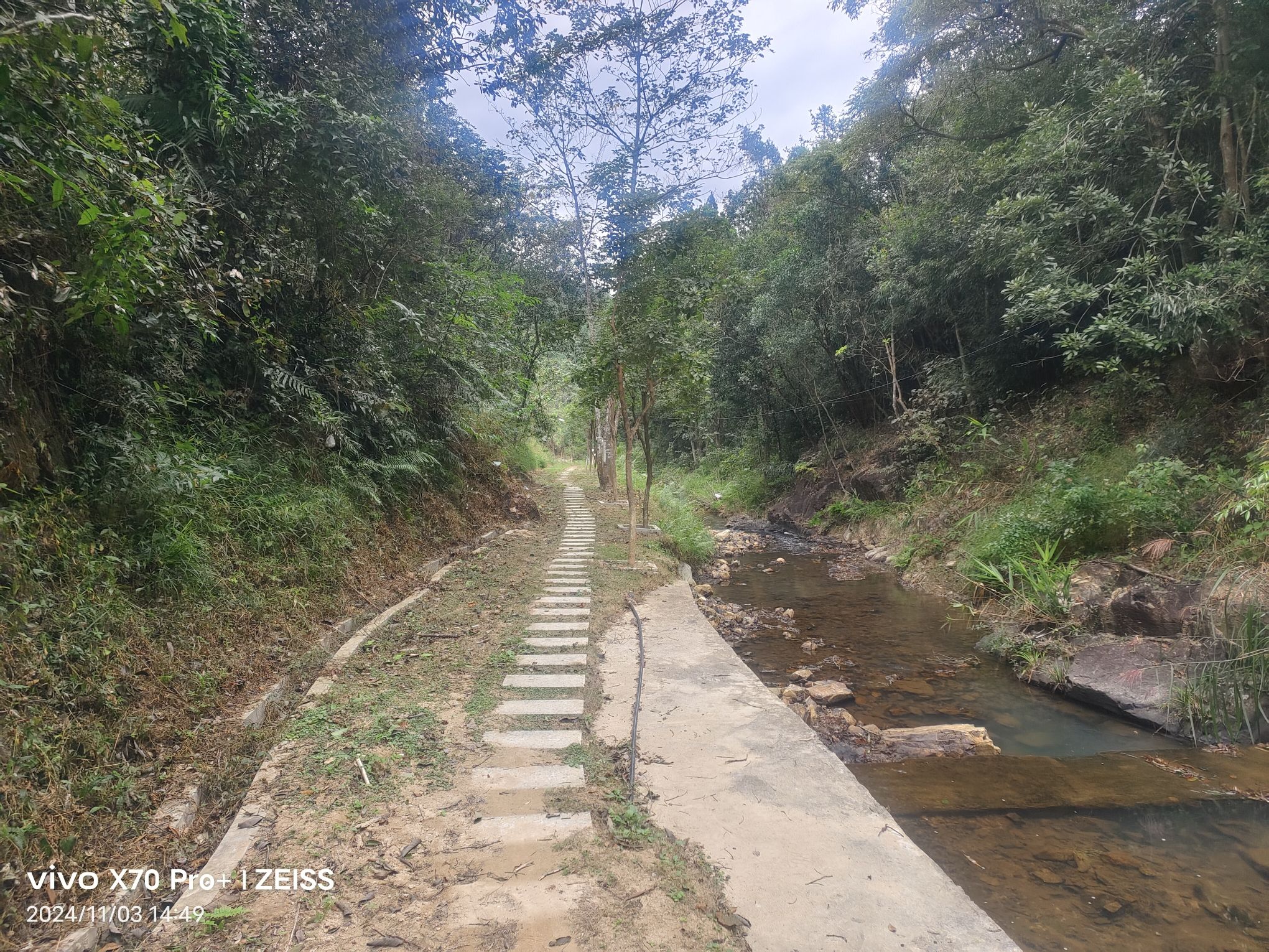 万峰山森林公园旅行图片 3