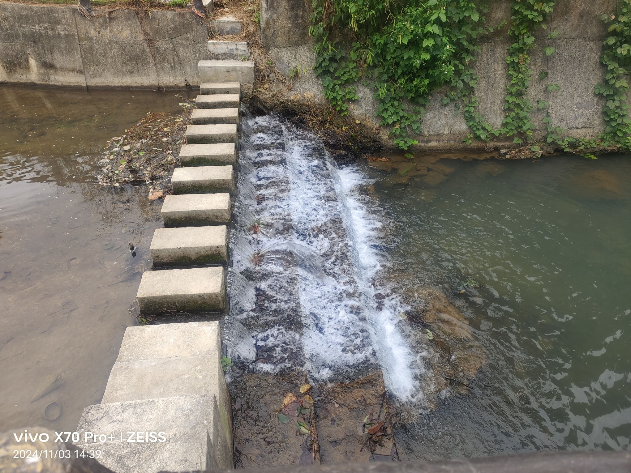万峰山森林公园旅行图片 1