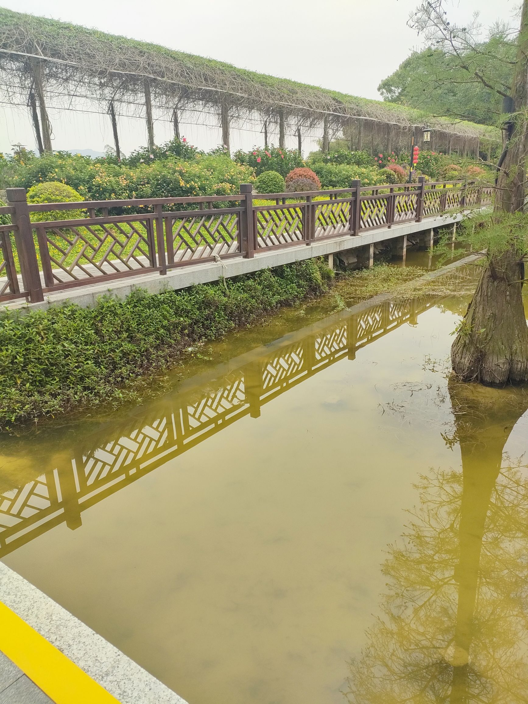 绿岛山庄旅行图片 3