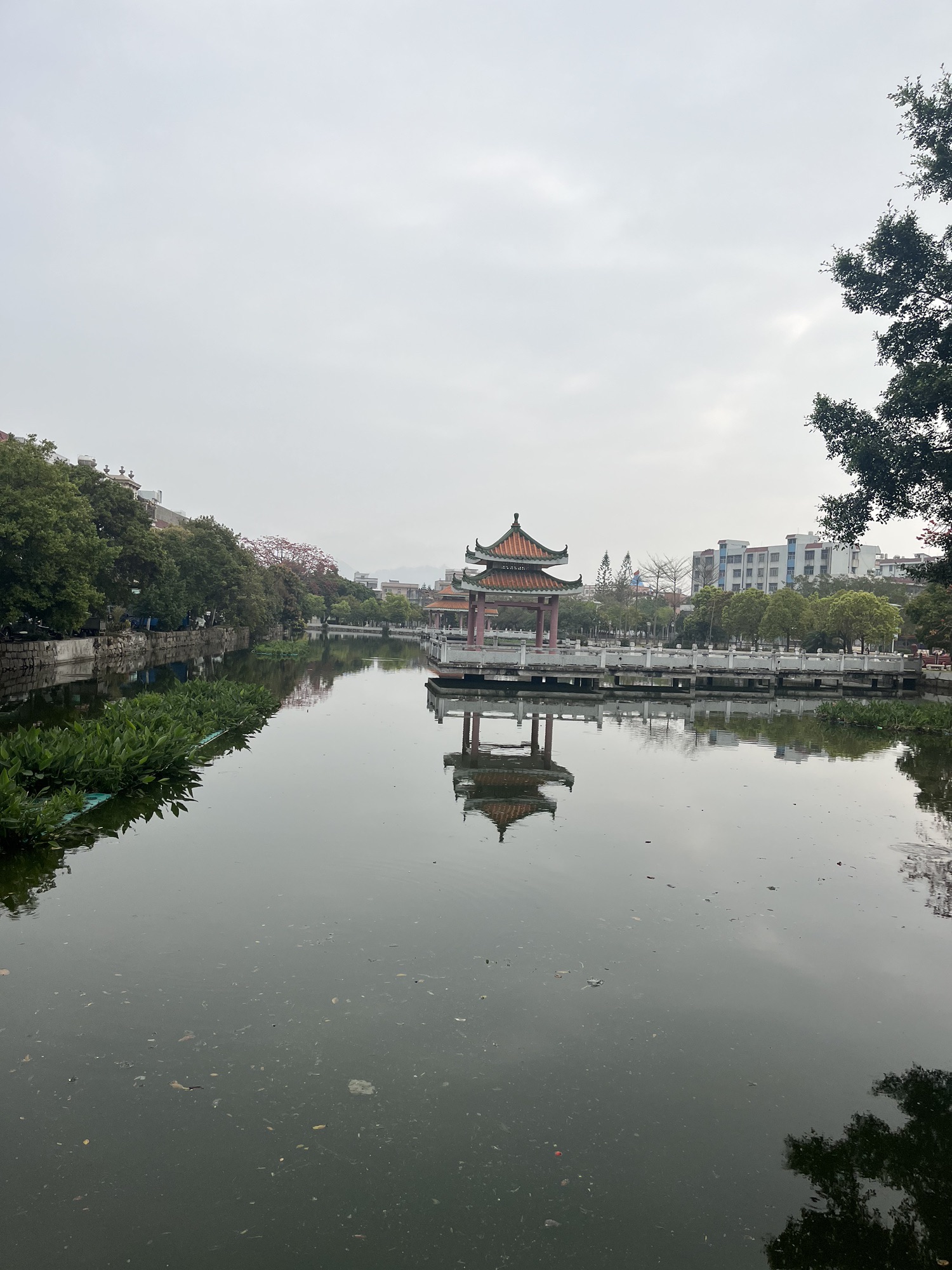 钱东小公园旅行图片 2