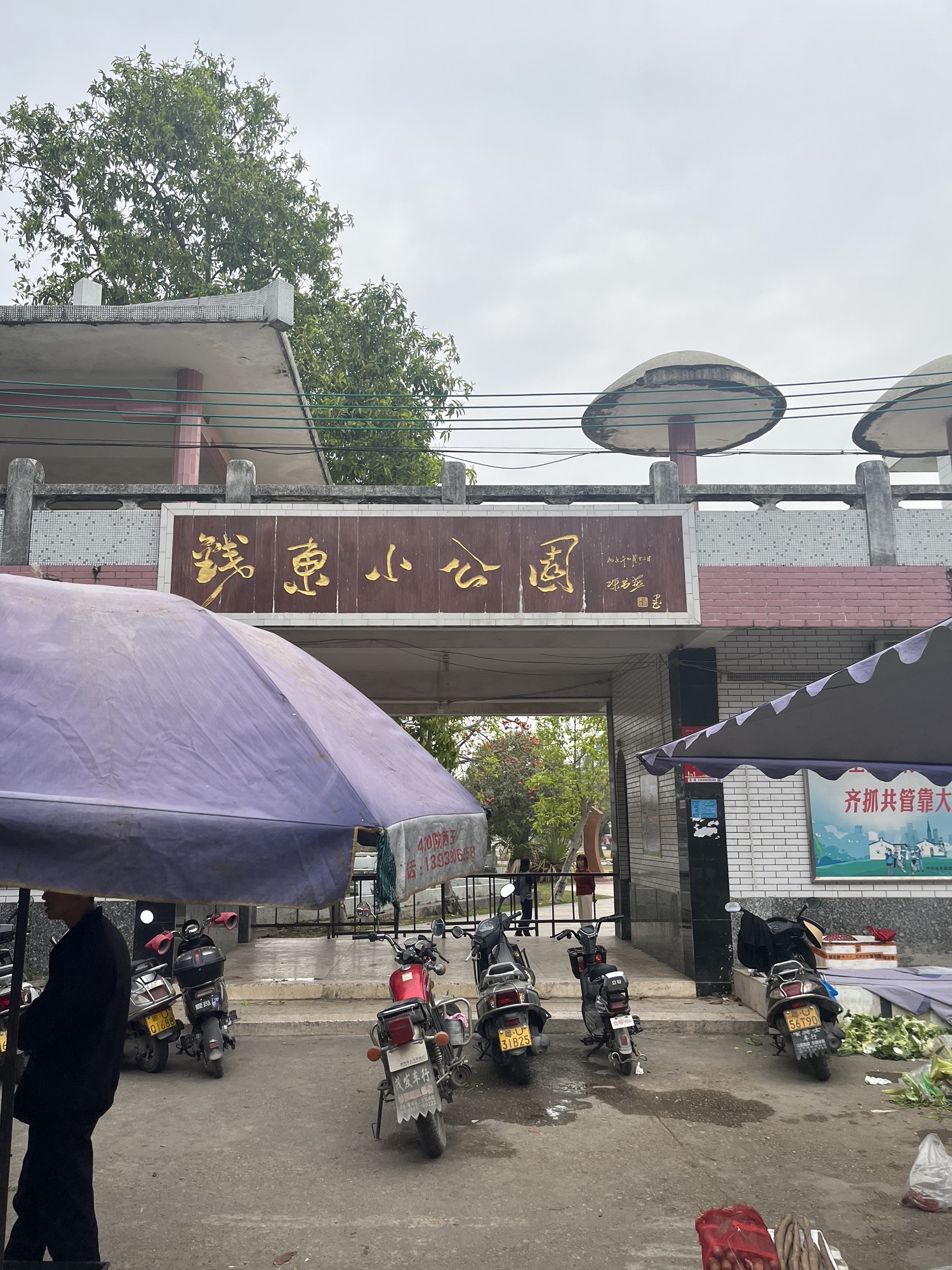 钱东小公园旅行图片 1