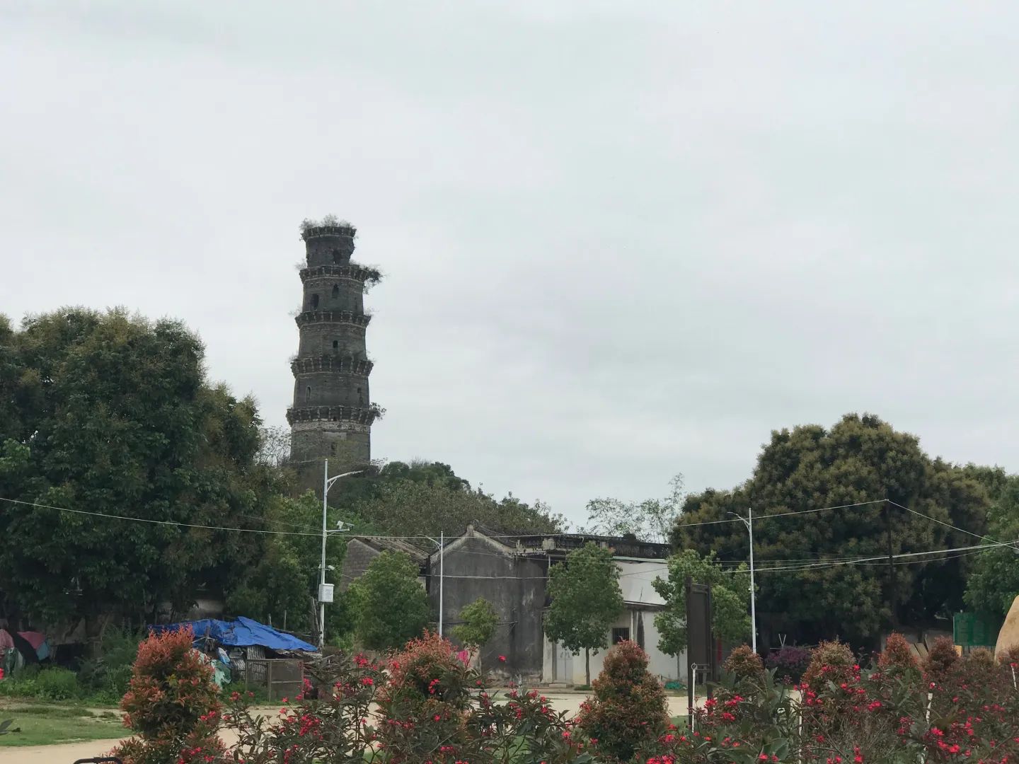 三元塔旅行图片 3