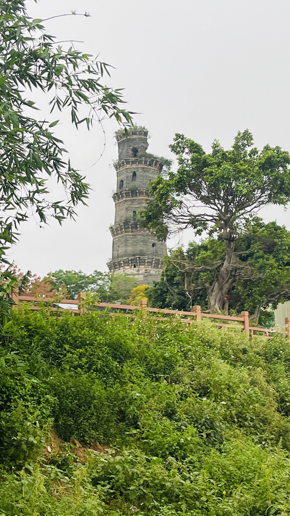 三元塔旅行图片 1