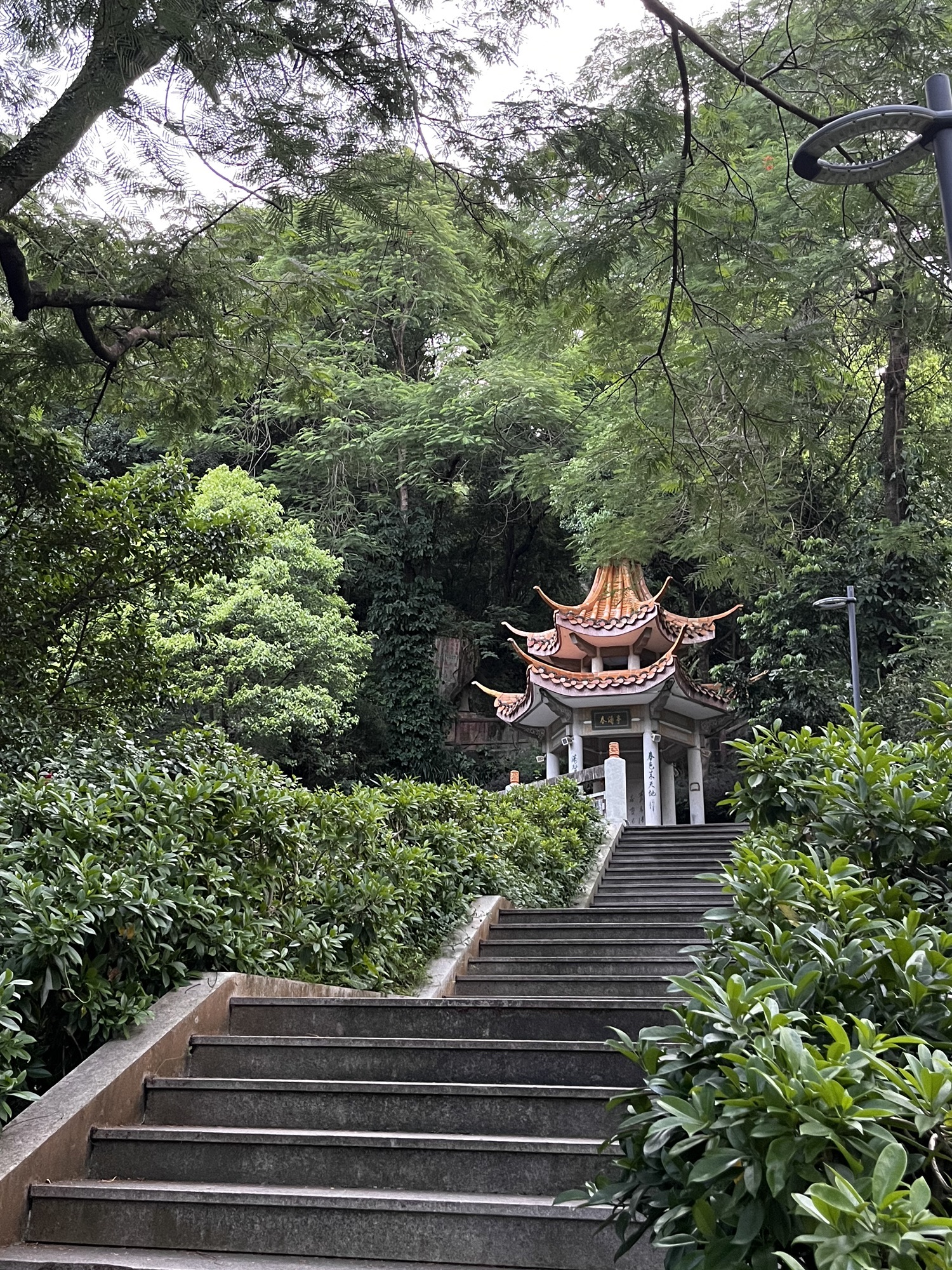 潮州西湖公园旅行图片 2