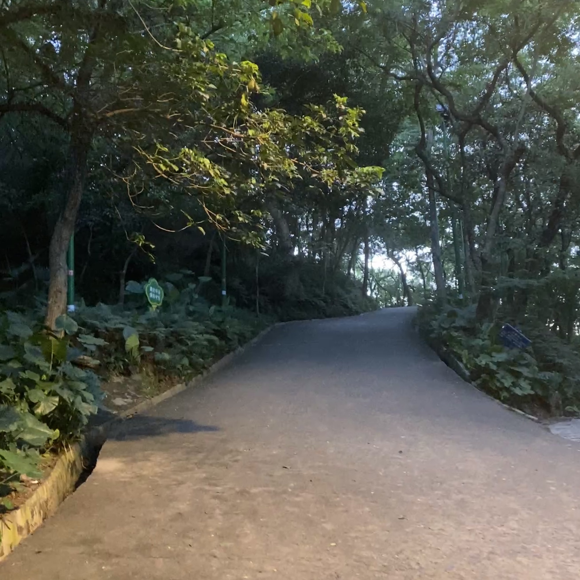 潮州西湖公园旅行图片 2