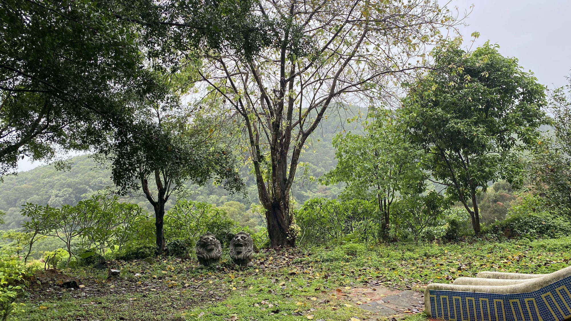 淡浮院旅行图片 3