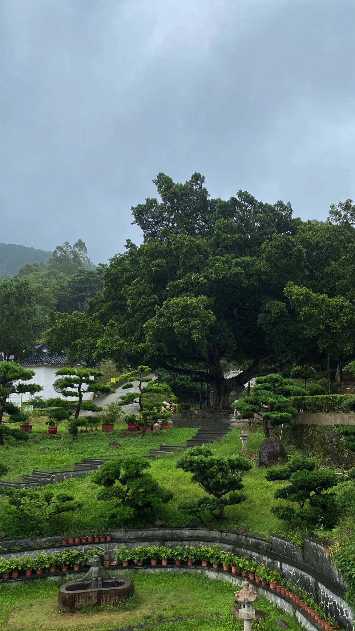 淡浮院旅行图片 1