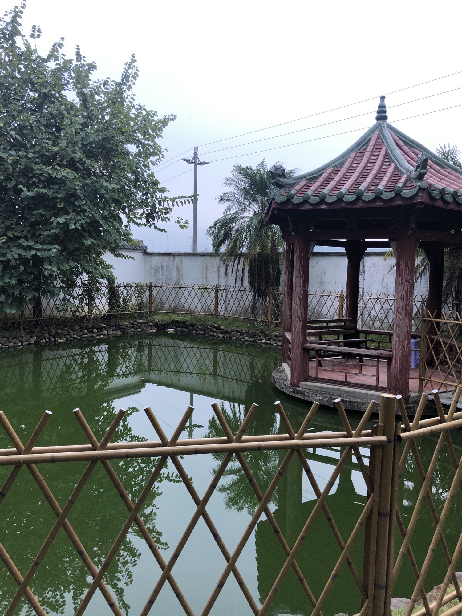 张竞生公园旅行图片 2