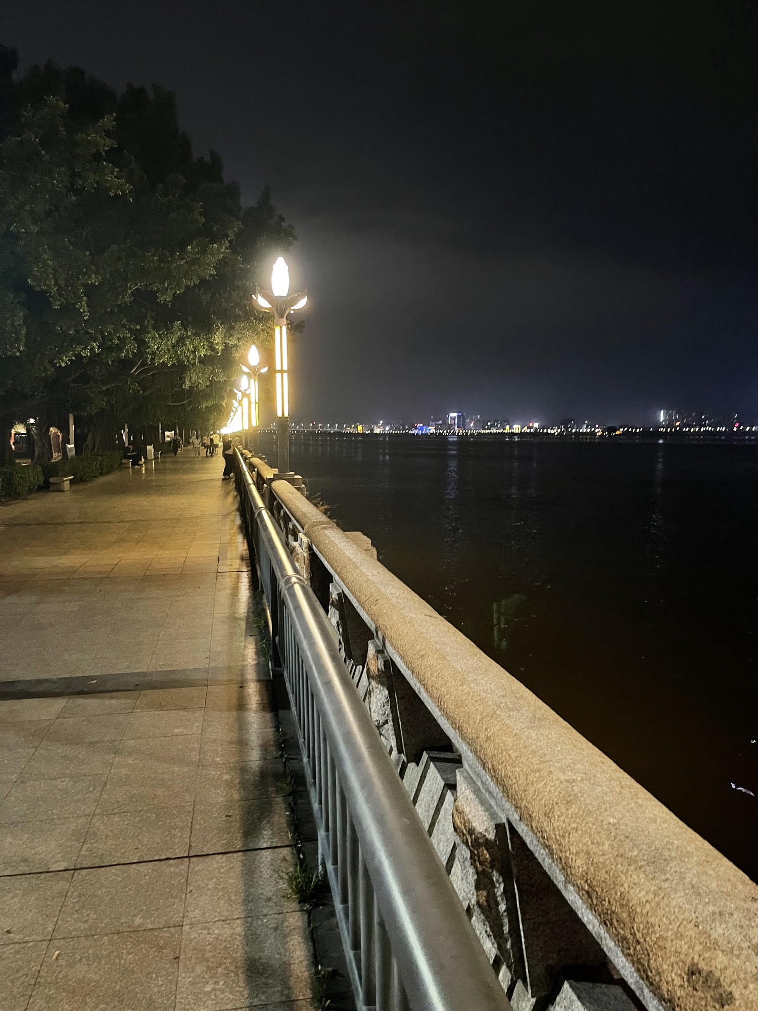 滨江长廊旅行图片 3