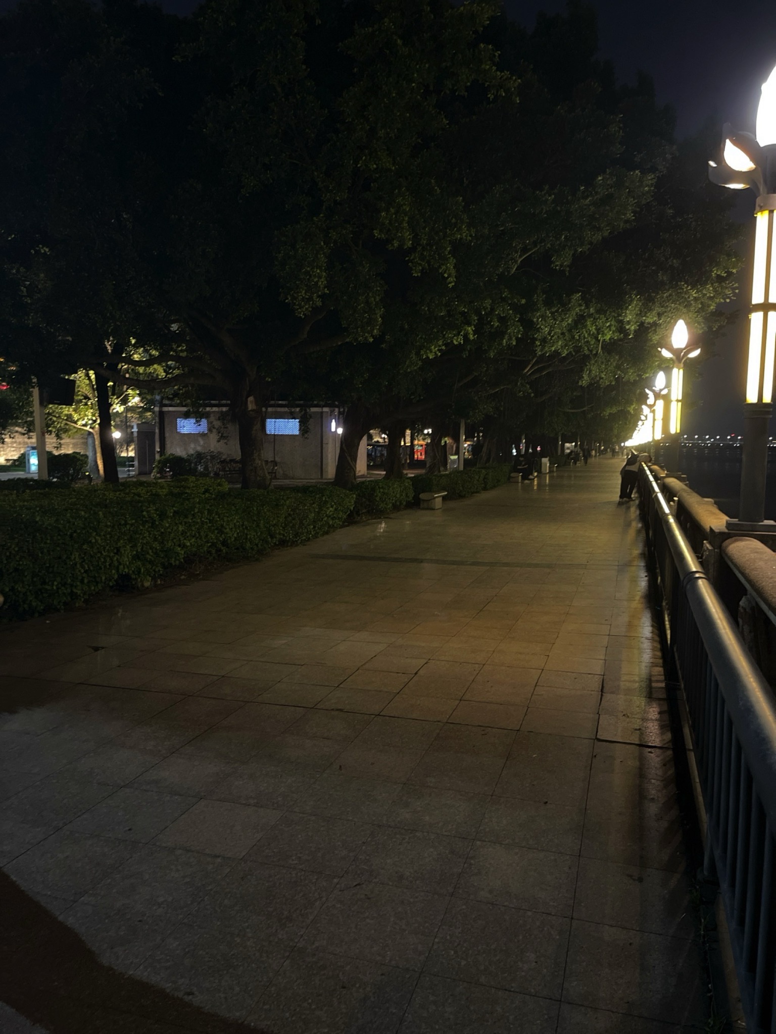 滨江长廊旅行图片 1
