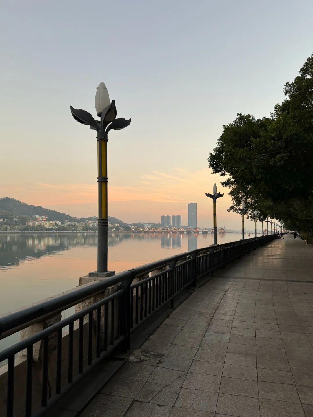 滨江长廊旅行图片 2