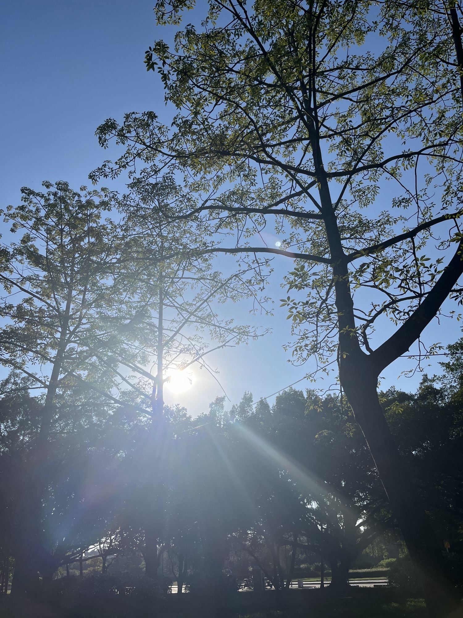 滨江长廊旅行图片 3