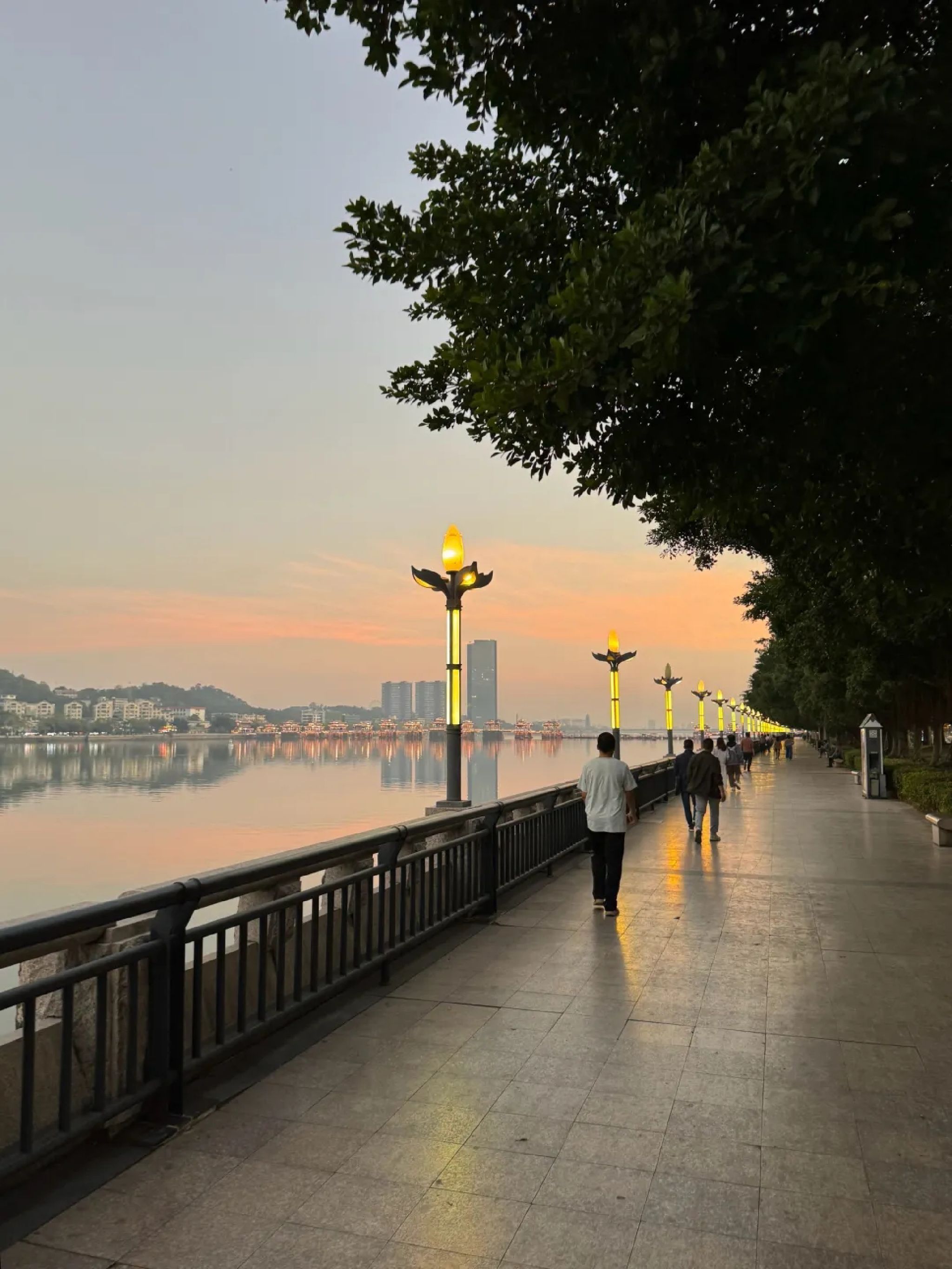 滨江长廊旅行图片 1