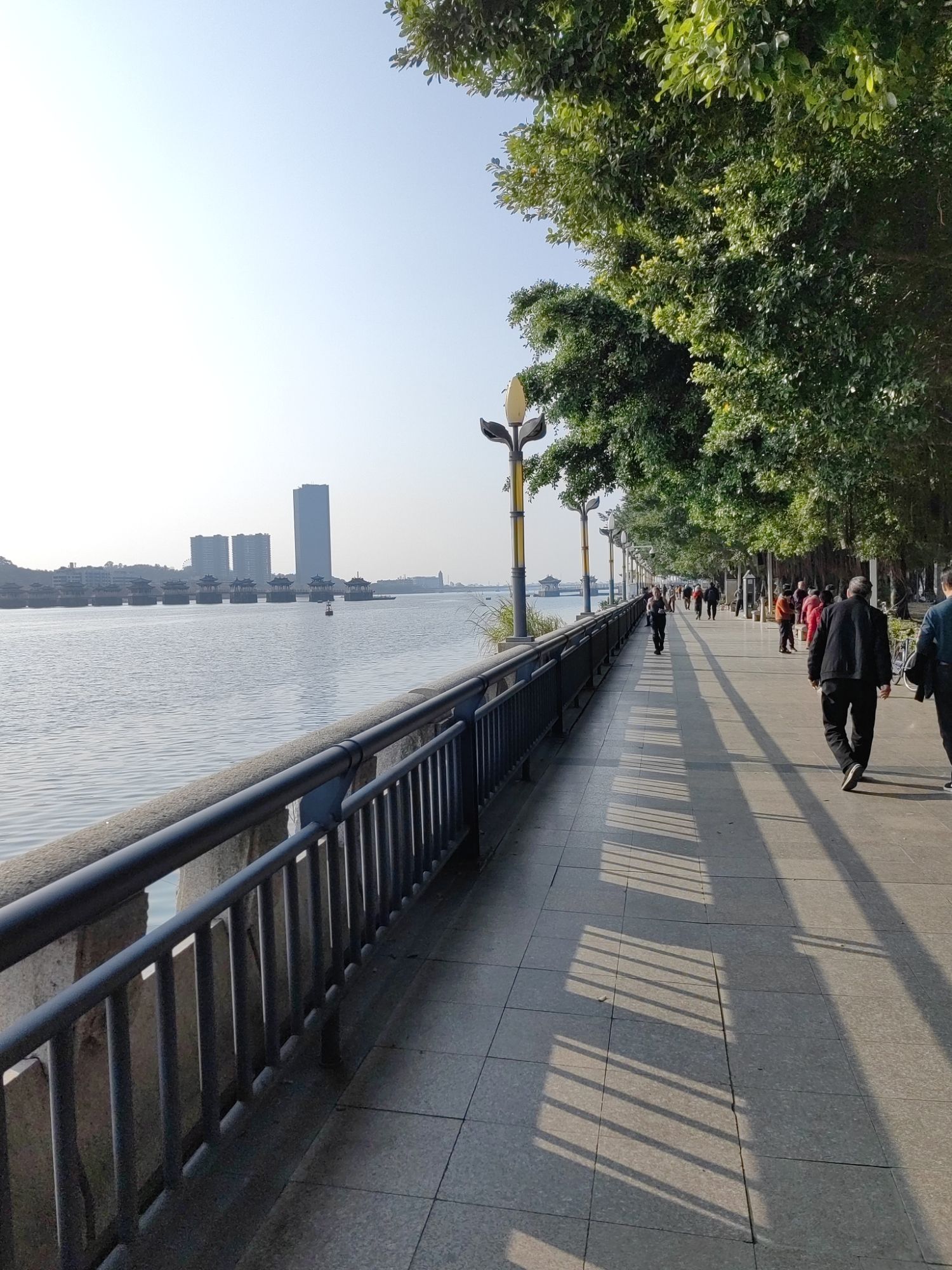滨江长廊旅行图片 1