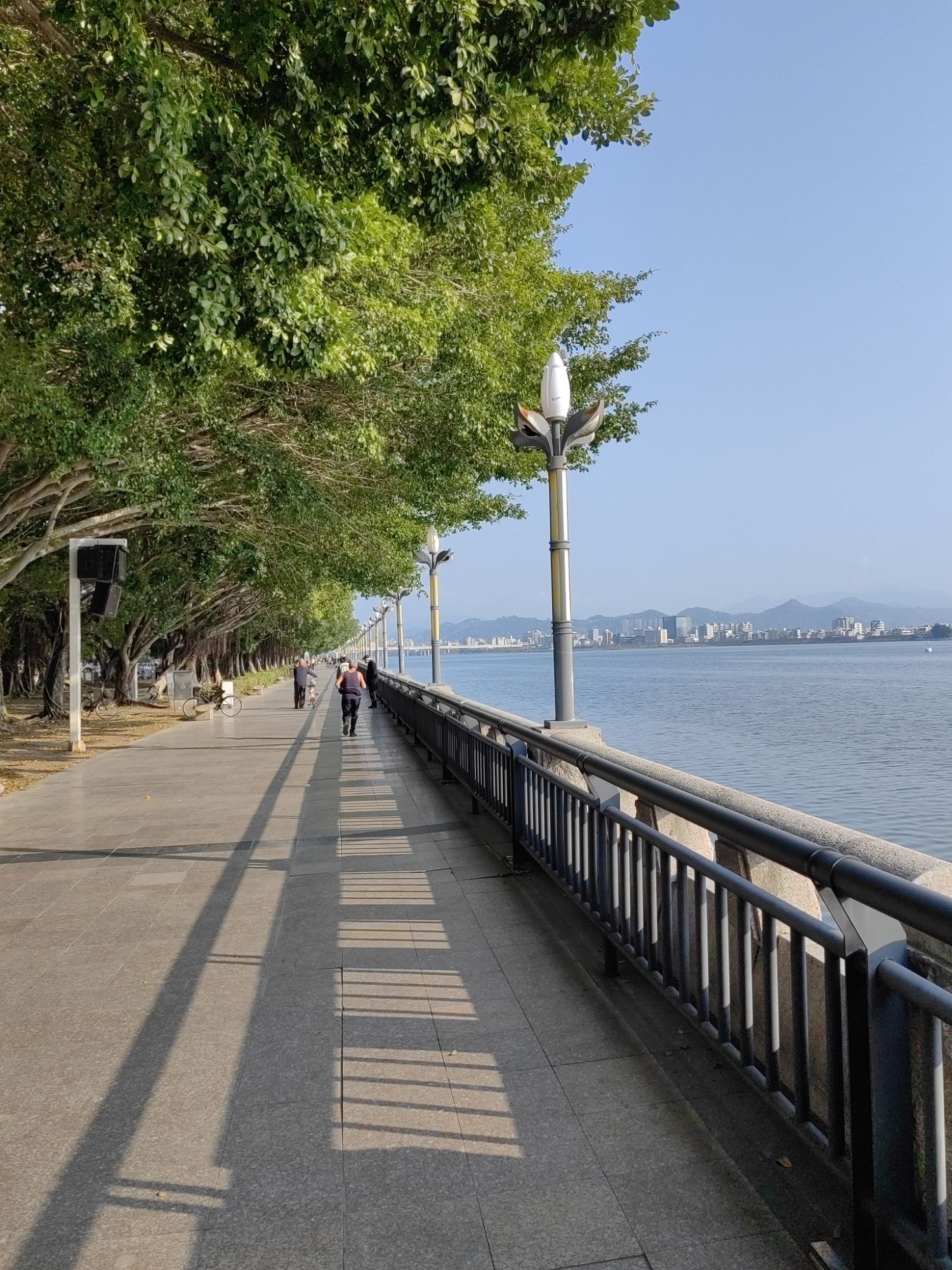 滨江长廊旅行图片 2