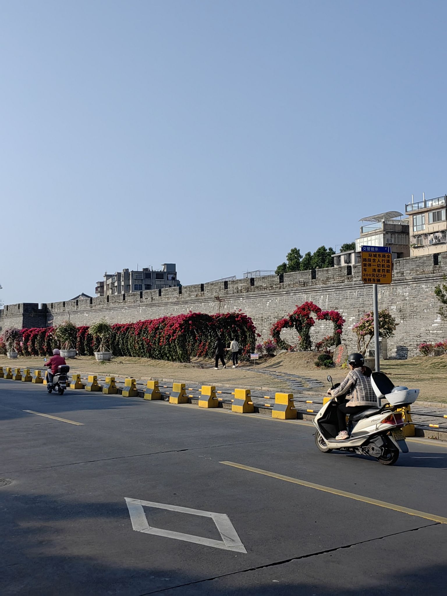 滨江长廊旅行图片 3