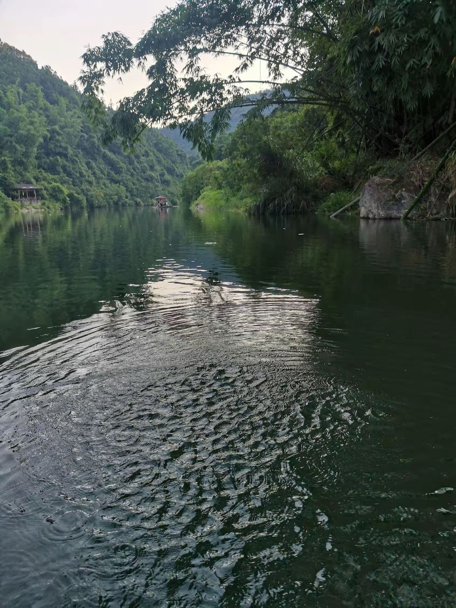 凤溪旅游区-竹筏漂流旅行图片 3