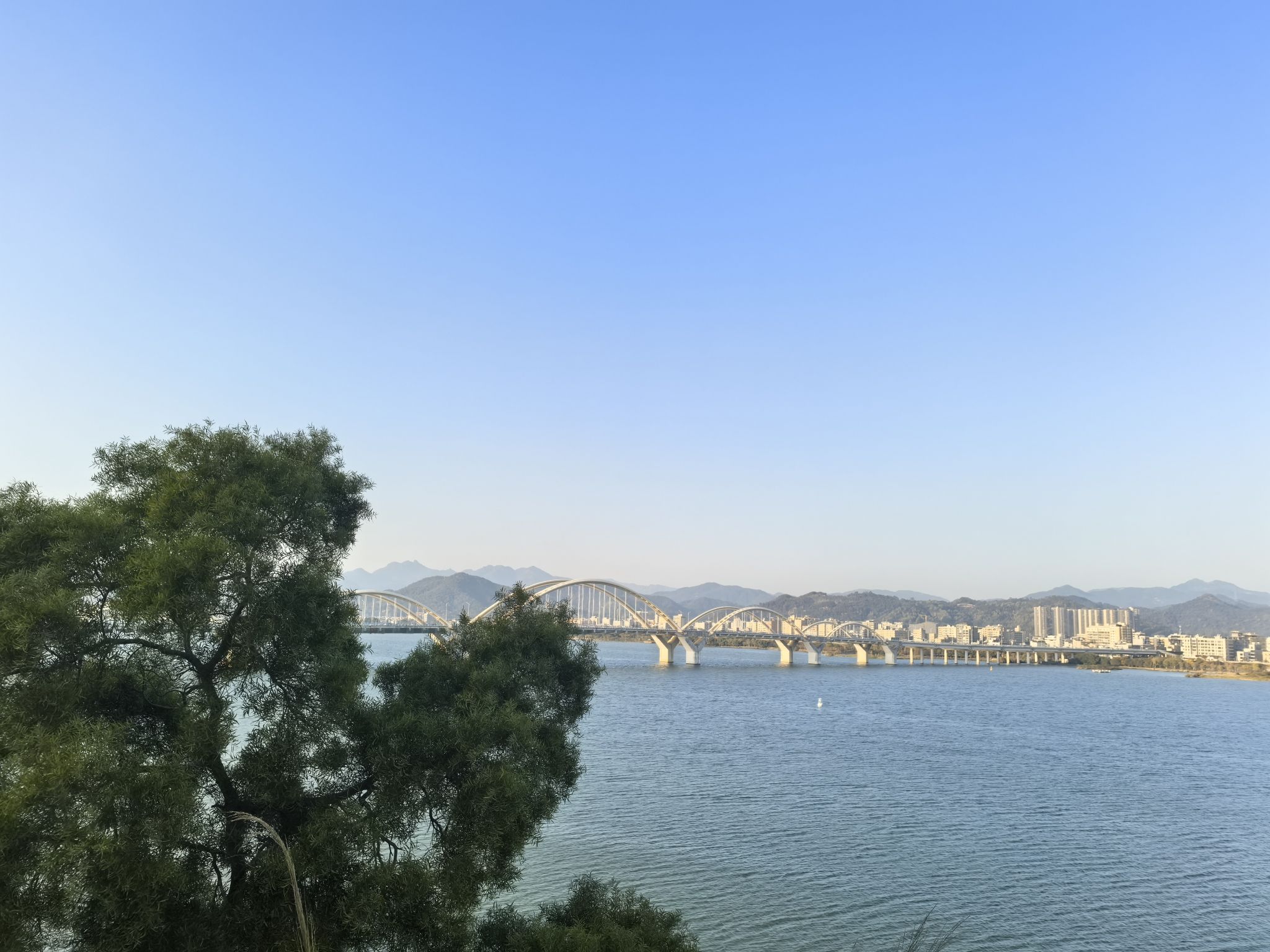 北阁佛灯旅行图片 3