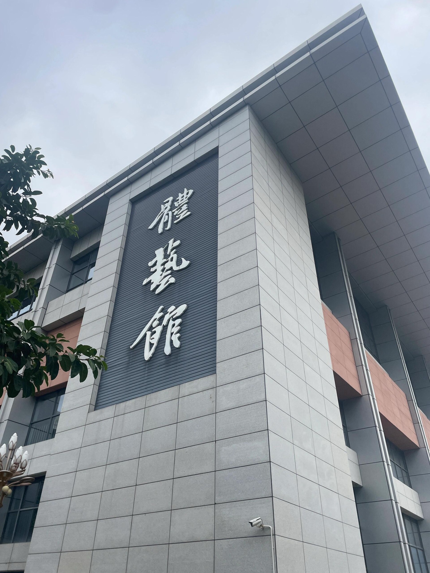 东莞大朗第一中学