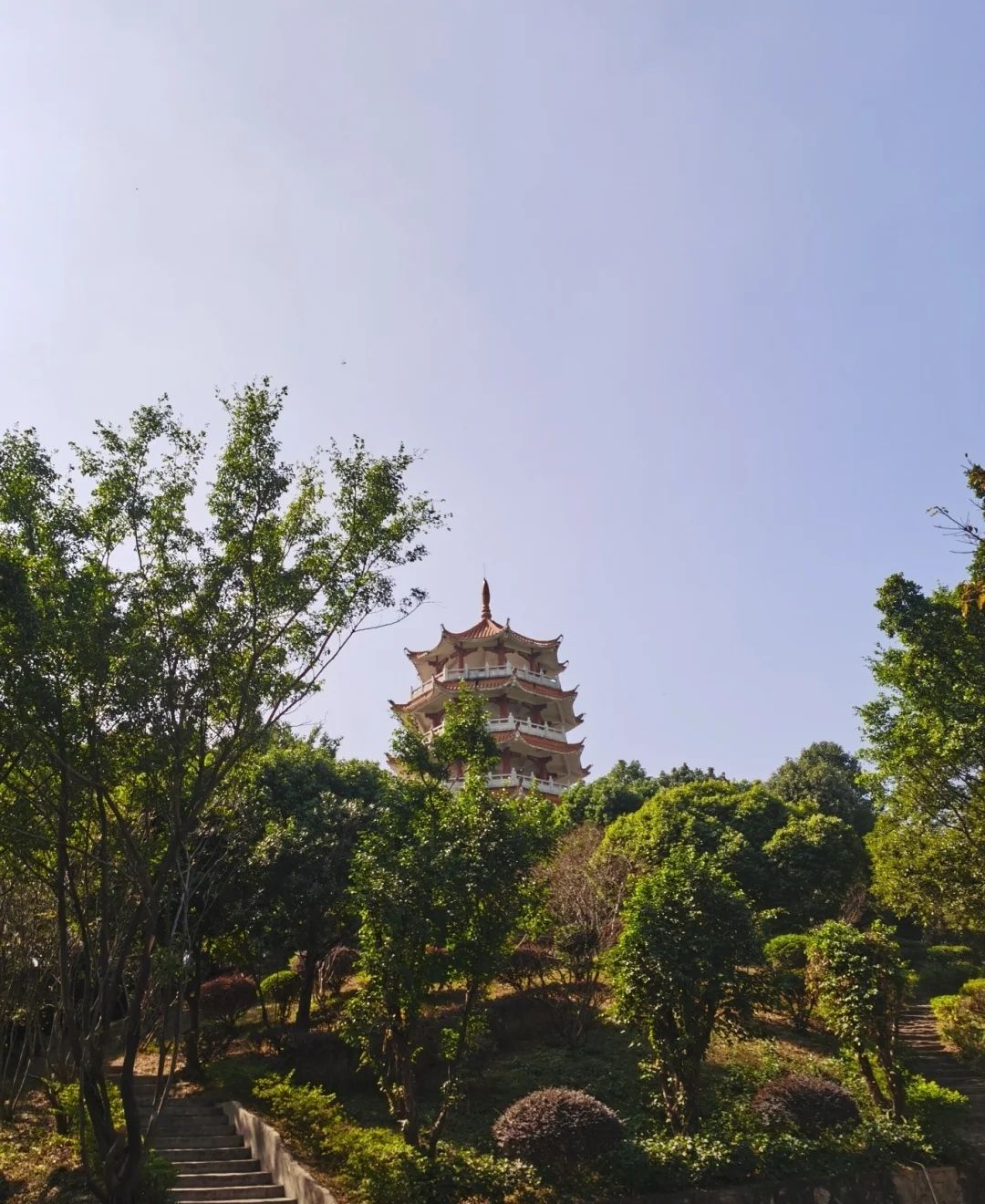 东莞市塘厦镇文化公园