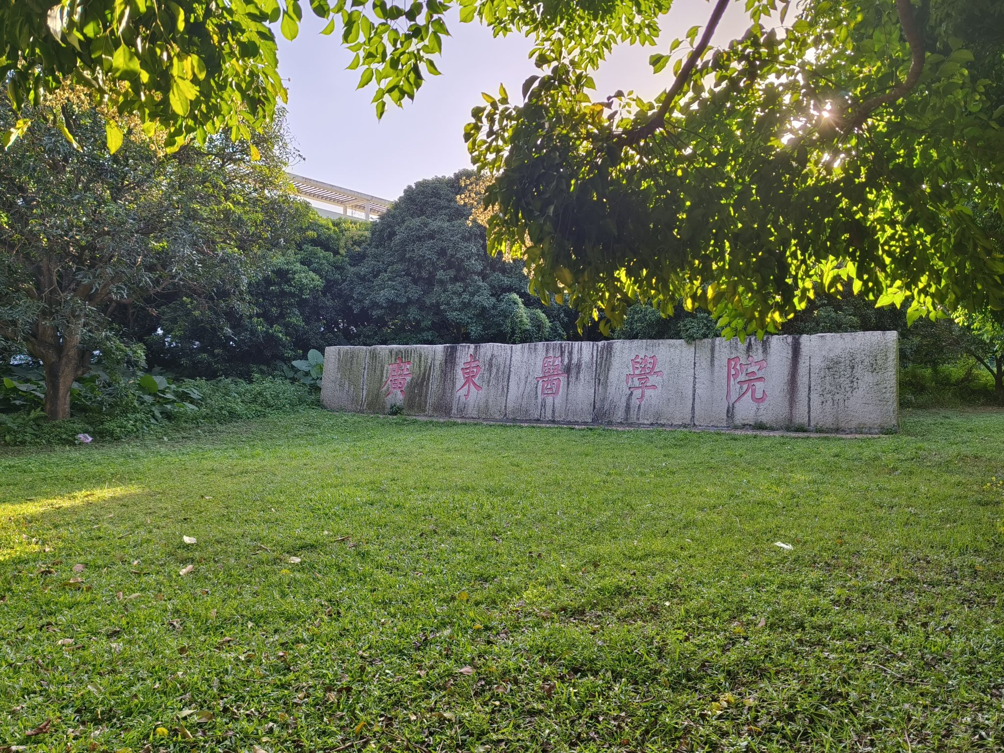 广东医科大学(东莞校区)