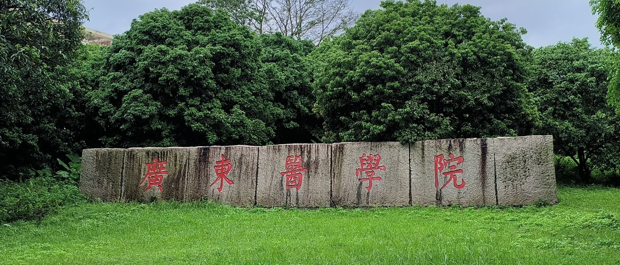 广东医科大学(东莞校区)