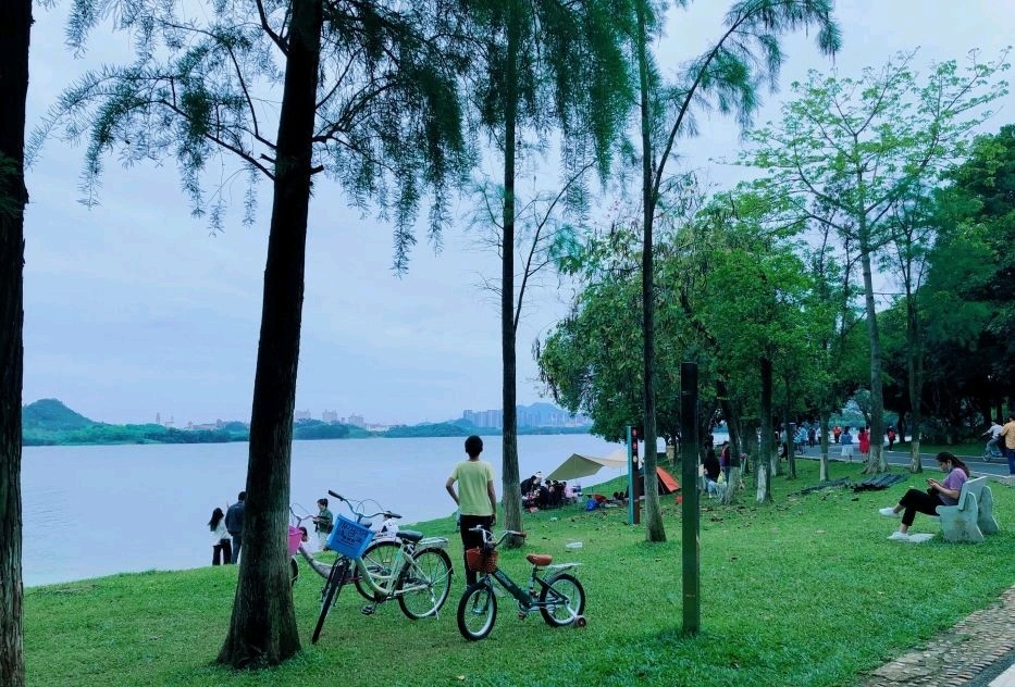 松山湖风景区松湖烟雨