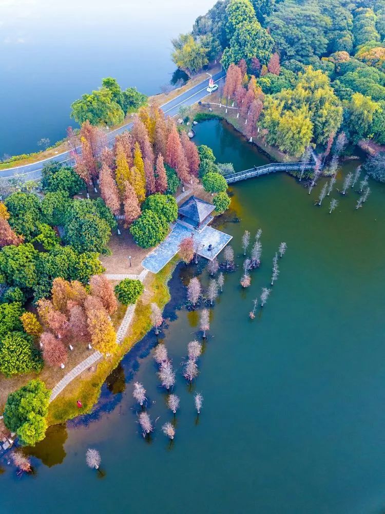 松山湖风景区