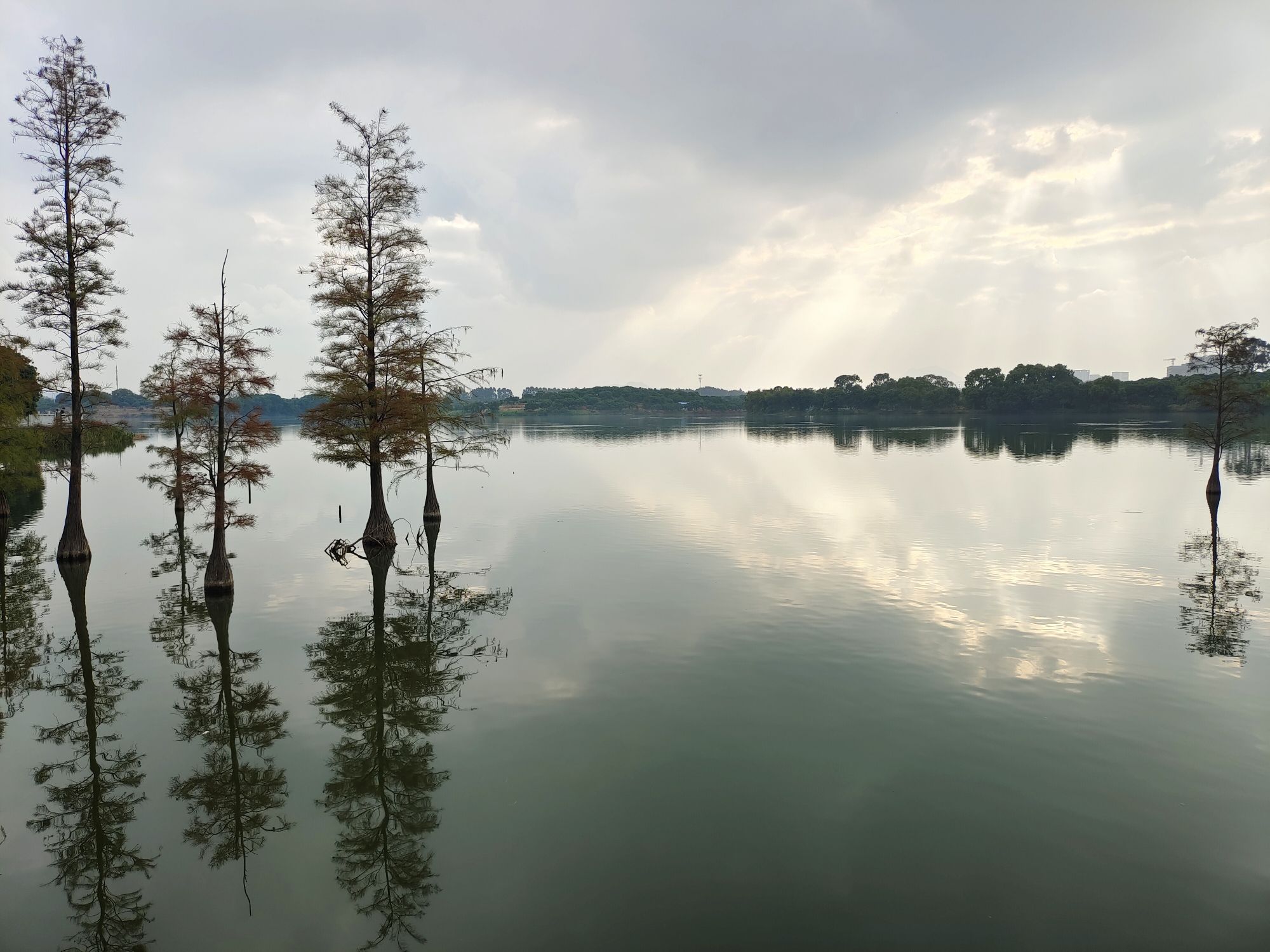 东莞市松山湖中心公园
