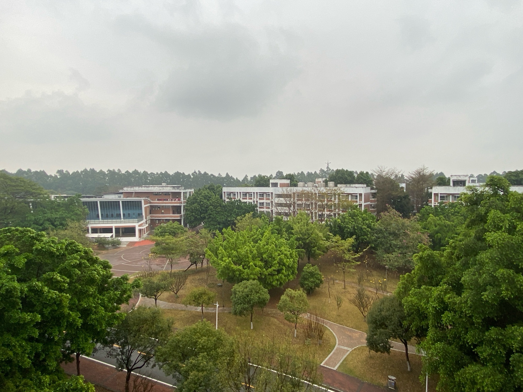 东莞中学松山湖学校