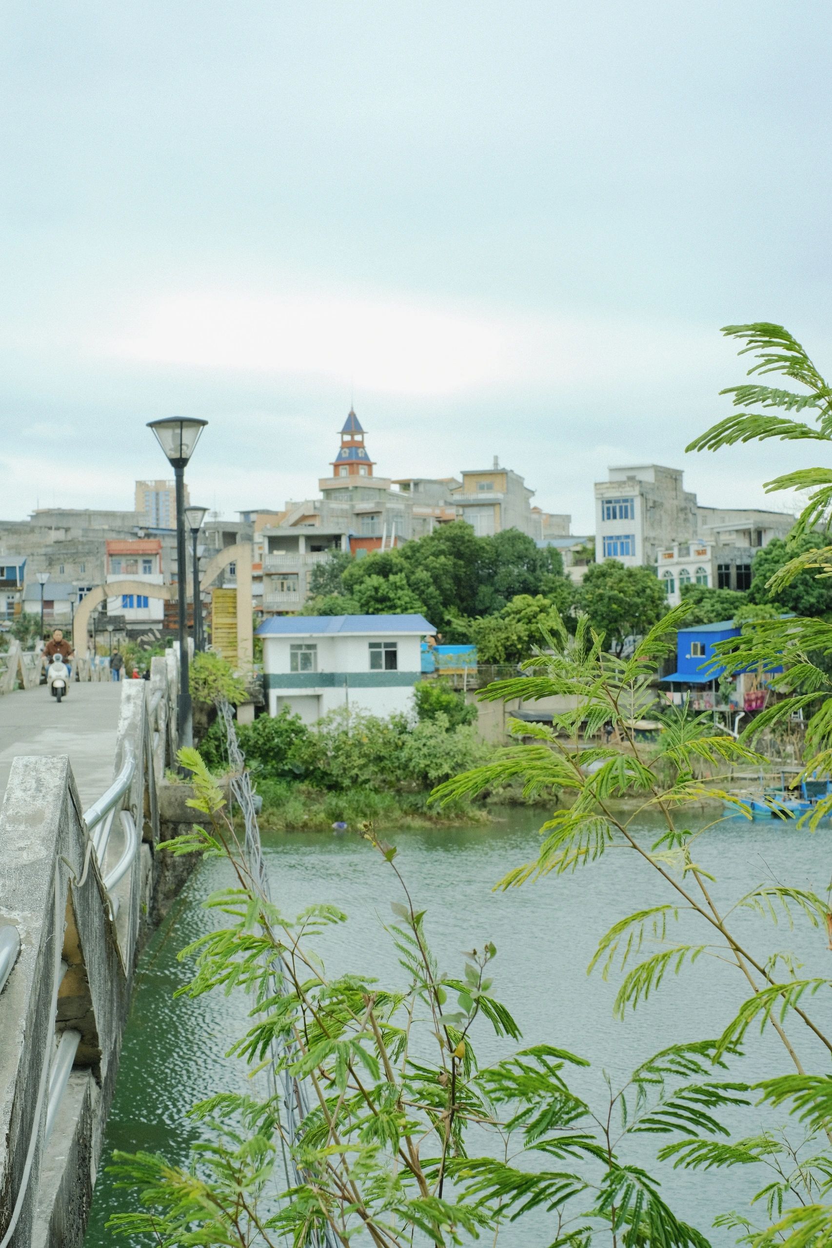 伯南公园旅行图片 1