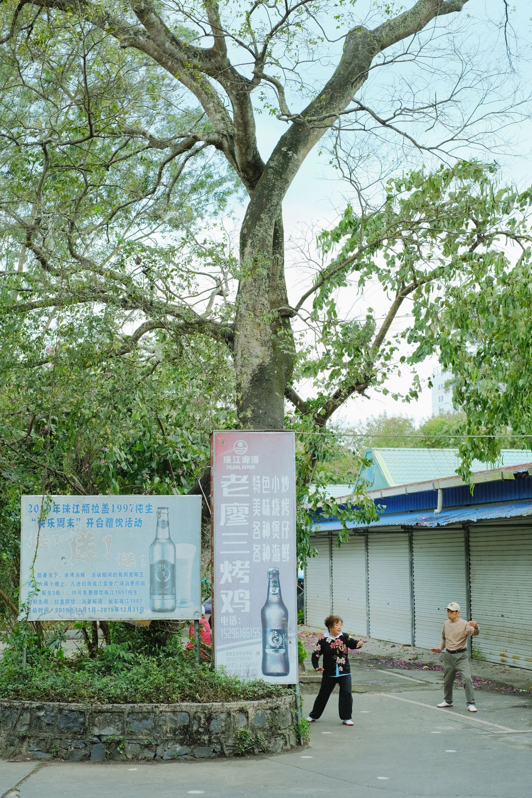 伯南公园旅行图片 3