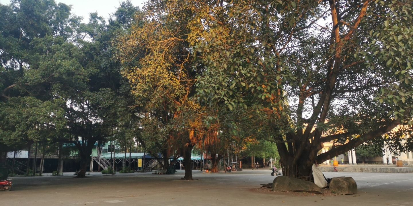 伯南公园旅行图片 3