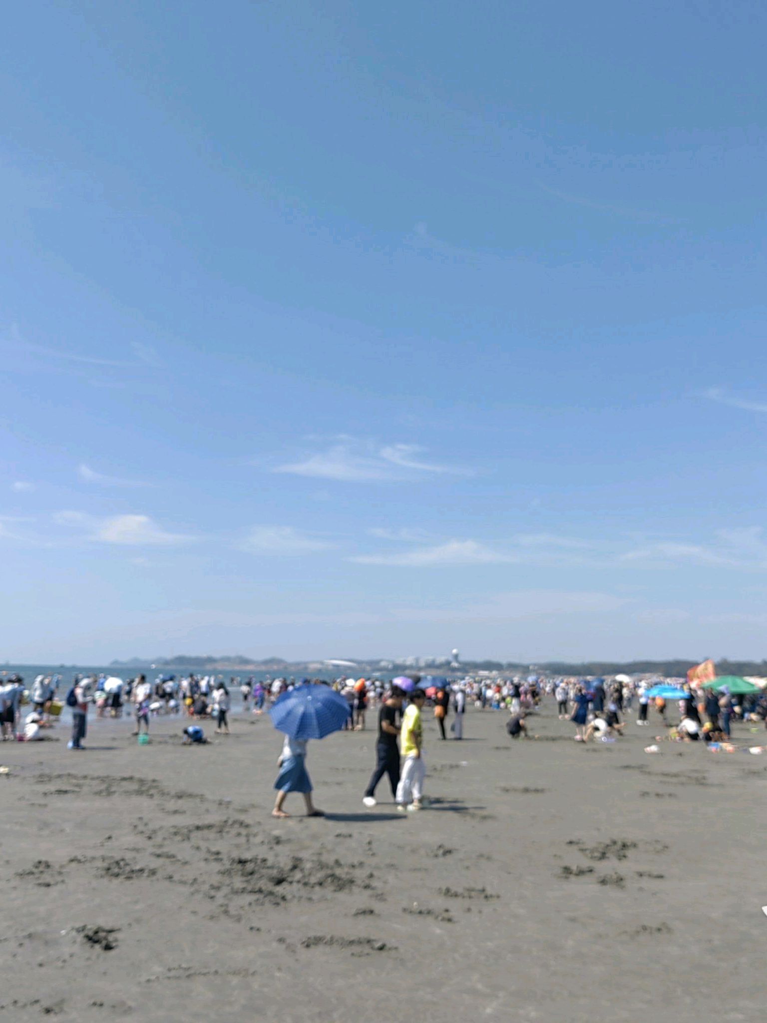 万尾金滩旅行图片 2