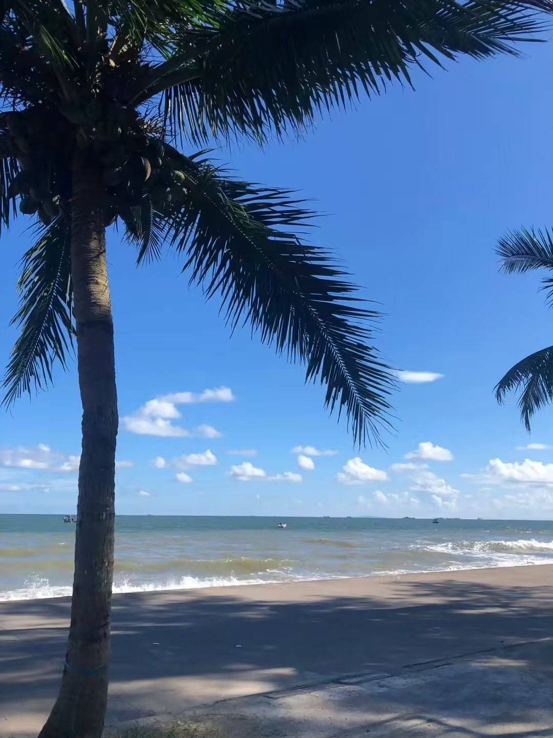万尾金滩旅行图片 3