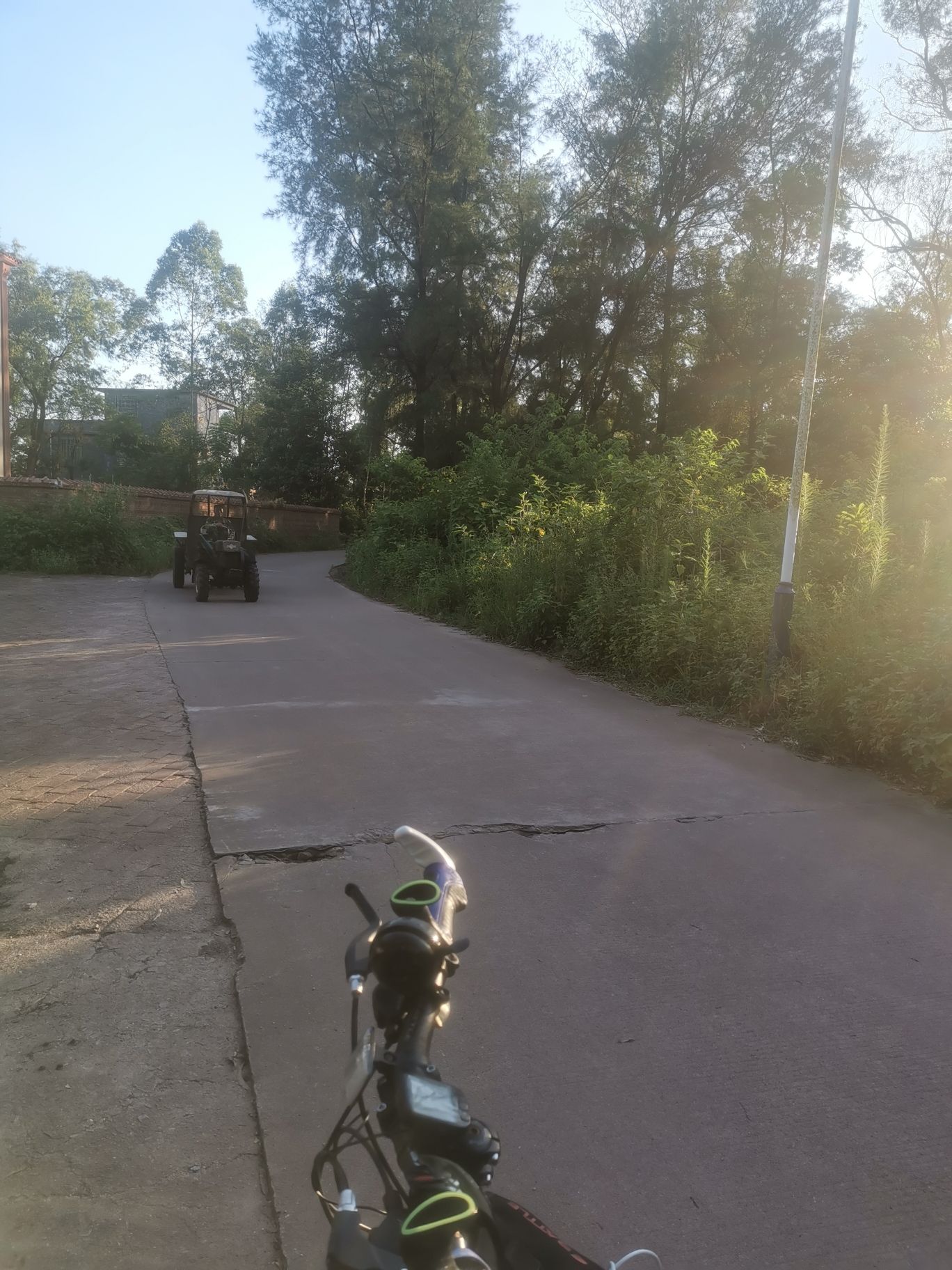 古榕部落旅行图片 3