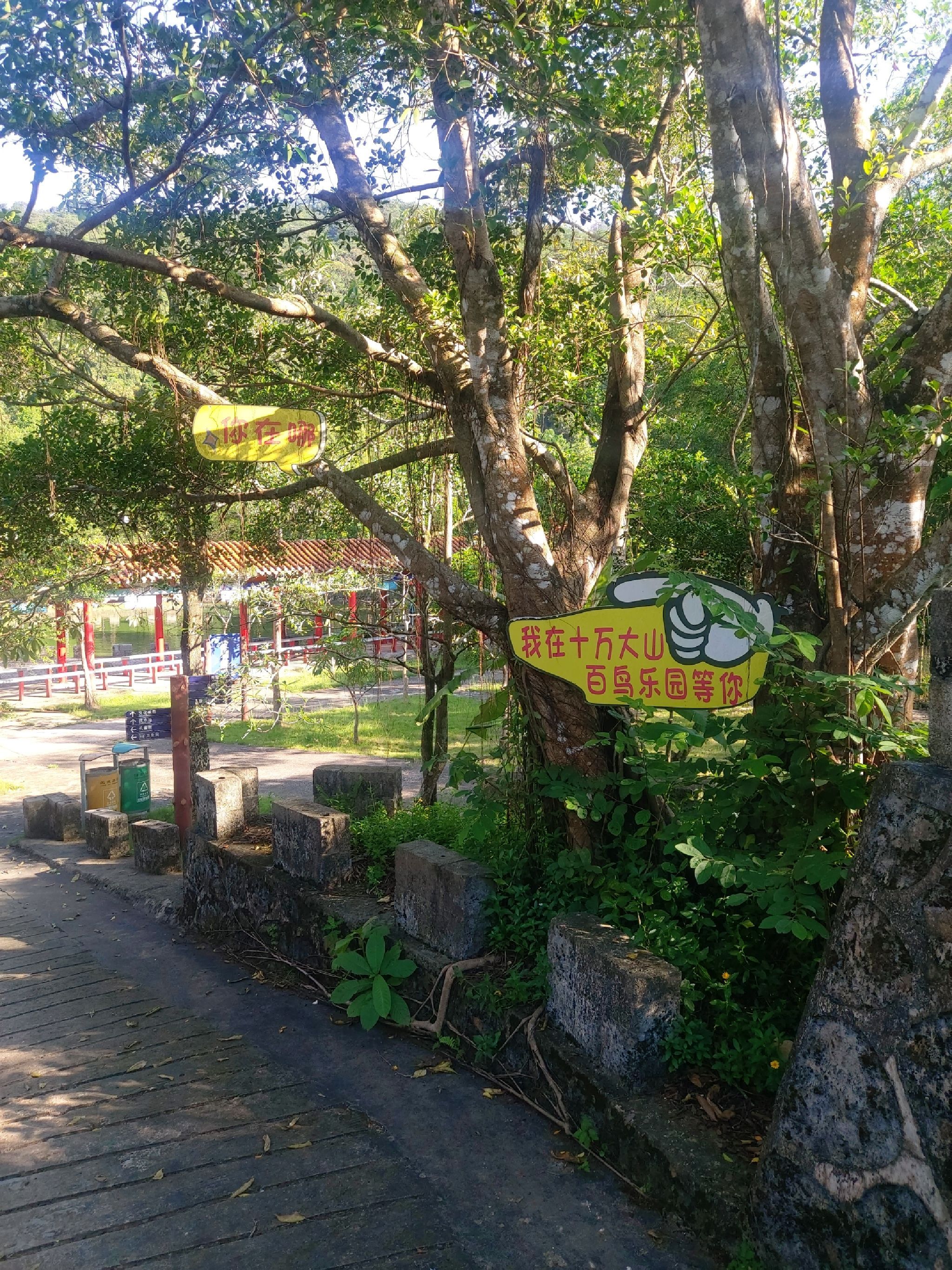 百鸟乐园旅行图片 1