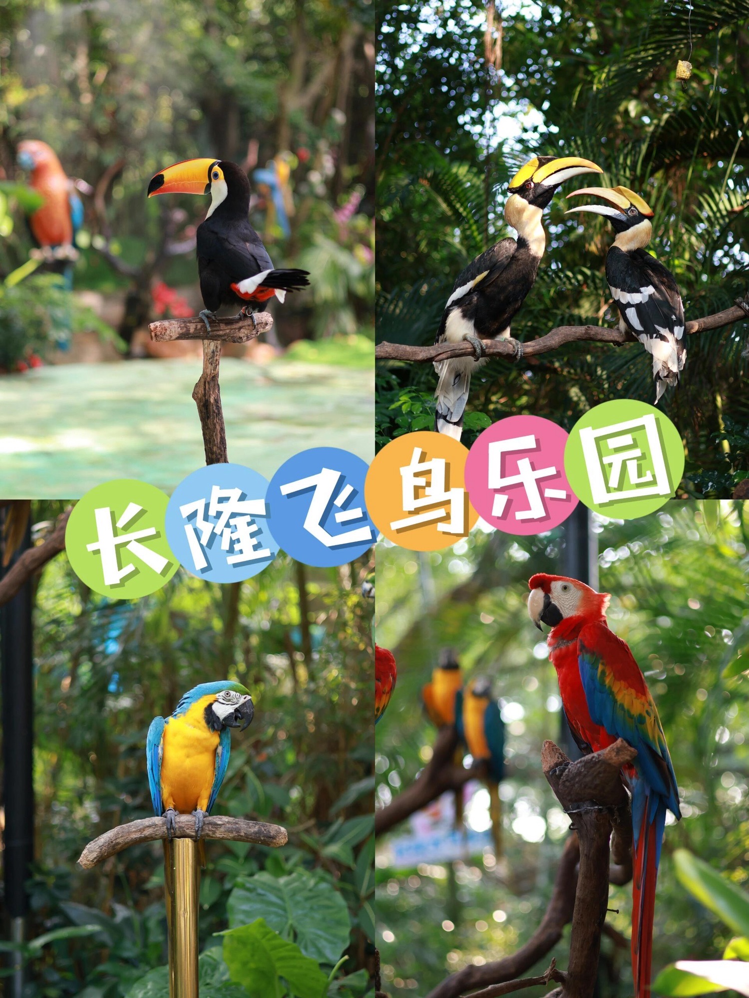 百鸟乐园旅行图片 1