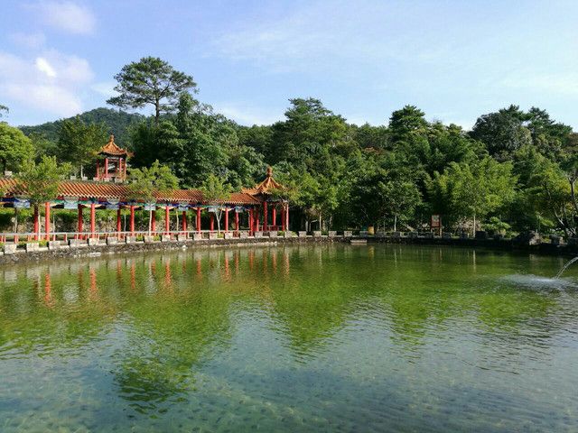 百鸟乐园旅行图片 3