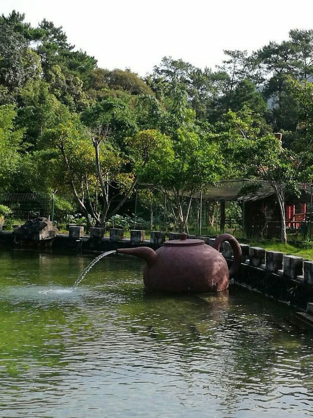 百鸟乐园旅行图片 2
