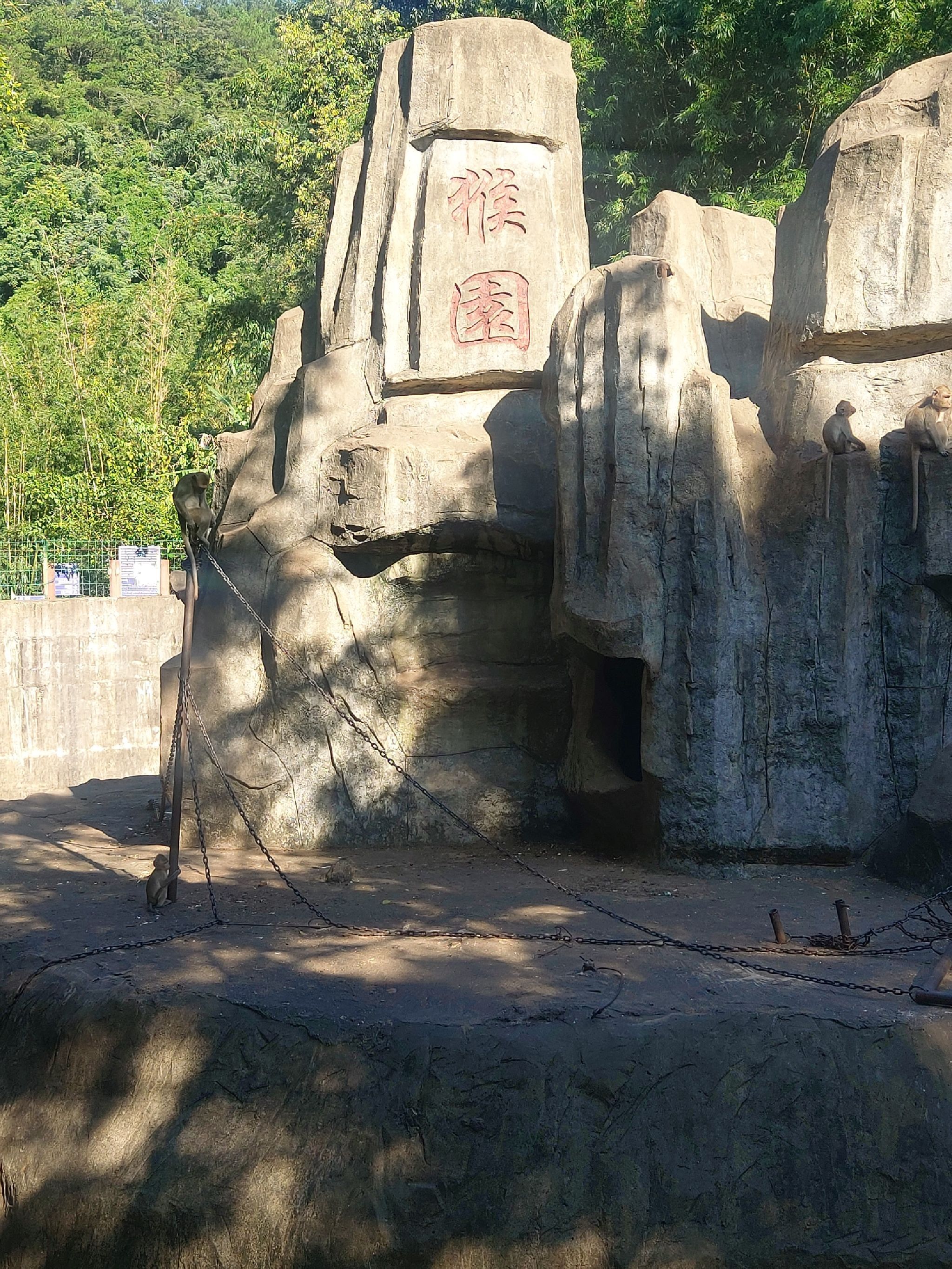 百鸟乐园旅行图片 2