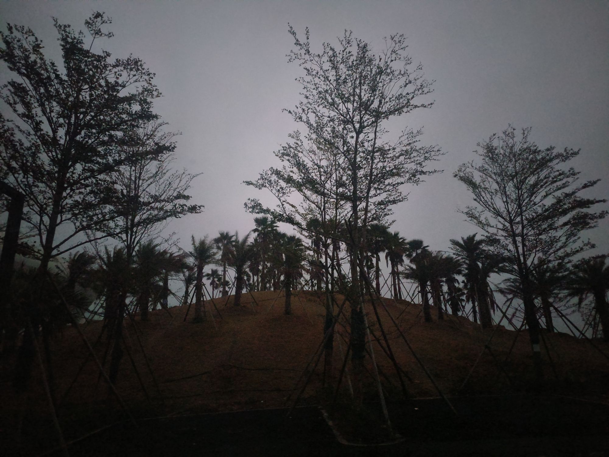 江山半岛旅游度假区白沙湾旅行图片 1