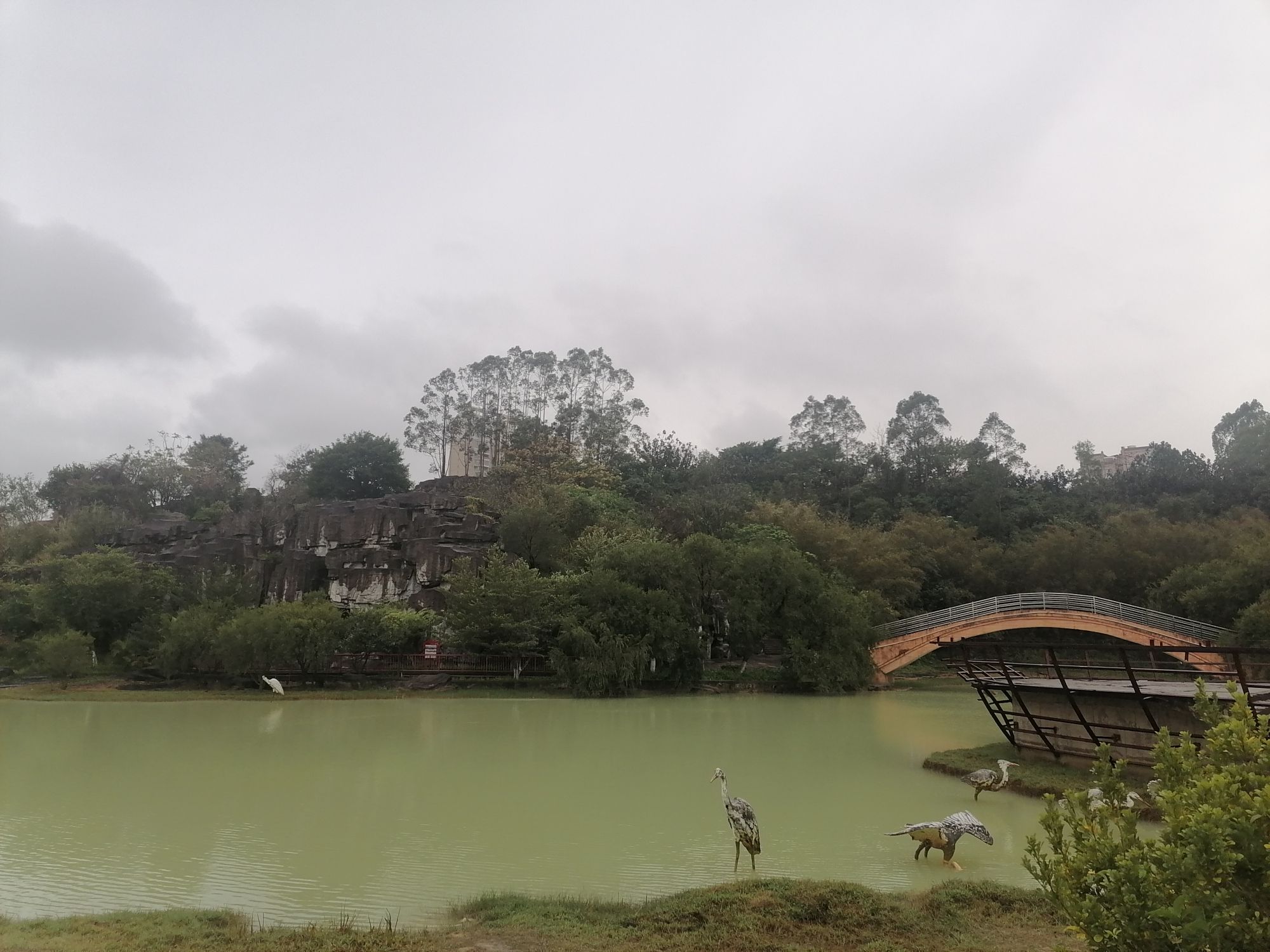 白鹭公园旅行图片 3
